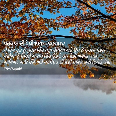 Picture 02 - ਪਰਕਾਸ਼ ਦੀ ਪੋਥੀ 19:17 PANIRV - ਮੈਂ ਇੱਕ ਦੂਤ ਨੂੰ - Bible Verse Picture