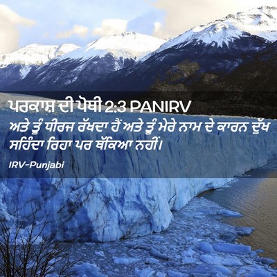 Picture 02 - ਪਰਕਾਸ਼ ਦੀ ਪੋਥੀ 2:3 PANIRV - ਅਤੇ ਤੂੰ ਧੀਰਜ ਰੱਖਦਾ - Bible Verse Picture