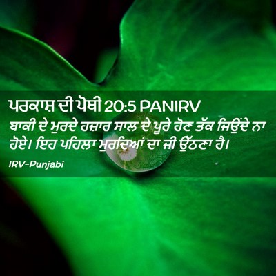 Picture 02 - ਪਰਕਾਸ਼ ਦੀ ਪੋਥੀ 20:5 PANIRV - ਬਾਕੀ ਦੇ ਮੁਰਦੇ - Bible Verse Picture