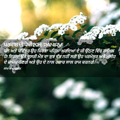 Picture 02 - ਪਰਕਾਸ਼ ਦੀ ਪੋਥੀ 20:6 PANIRV - ਧੰਨ ਅਤੇ ਪਵਿੱਤਰ ਉਹ - Bible Verse Picture