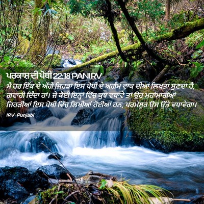 Picture 02 - ਪਰਕਾਸ਼ ਦੀ ਪੋਥੀ 22:18 PANIRV - ਮੈਂ ਹਰ ਇੱਕ ਦੇ ਅੱਗੇ - Bible Verse Picture