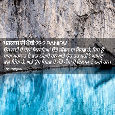 Picture 02 - ਪਰਕਾਸ਼ ਦੀ ਪੋਥੀ 22:2 PANIRV - ਉਸ ਨਦੀ ਦੇ ਦੋਨਾਂ - Bible Verse Picture