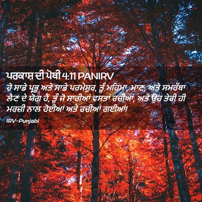 Picture 02 - ਪਰਕਾਸ਼ ਦੀ ਪੋਥੀ 4:11 PANIRV - ਹੇ ਸਾਡੇ ਪ੍ਰਭੂ ਅਤੇ - Bible Verse Picture
