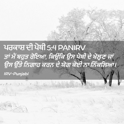 Picture 02 - ਪਰਕਾਸ਼ ਦੀ ਪੋਥੀ 5:4 PANIRV - ਤਾਂ ਮੈਂ ਬਹੁਤ ਰੋਇਆ, - Bible Verse Picture