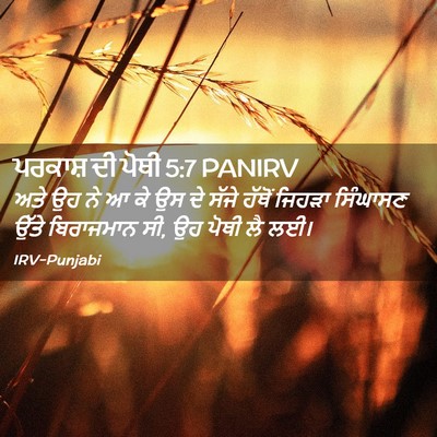 Picture 02 - ਪਰਕਾਸ਼ ਦੀ ਪੋਥੀ 5:7 PANIRV - ਅਤੇ ਉਹ ਨੇ ਆ ਕੇ ਉਸ ਦੇ - Bible Verse Picture