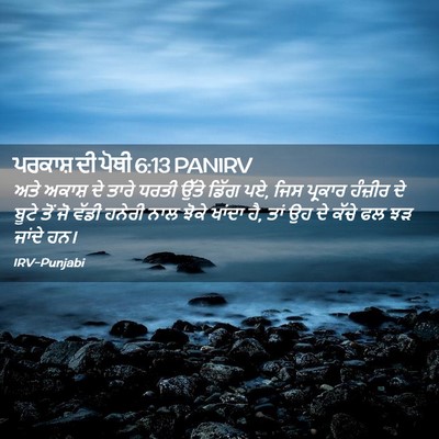 Picture 02 - ਪਰਕਾਸ਼ ਦੀ ਪੋਥੀ 6:13 PANIRV - ਅਤੇ ਅਕਾਸ਼ ਦੇ ਤਾਰੇ - Bible Verse Picture