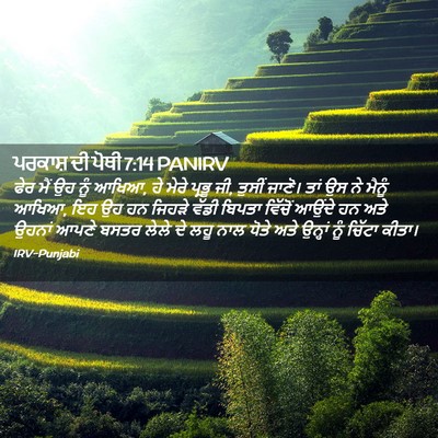 Picture 02 - ਪਰਕਾਸ਼ ਦੀ ਪੋਥੀ 7:14 PANIRV - ਫੇਰ ਮੈਂ ਉਹ ਨੂੰ - Bible Verse Picture