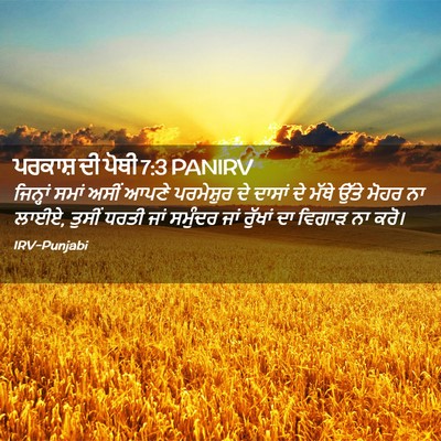 Picture 02 - ਪਰਕਾਸ਼ ਦੀ ਪੋਥੀ 7:3 PANIRV - ਜਿਨ੍ਹਾਂ ਸਮਾਂ ਅਸੀਂ - Bible Verse Picture