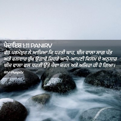 Picture 02 - ਪੈਦਾਇਸ਼ 1:11 PANIRV - ਫੇਰ ਪਰਮੇਸ਼ੁਰ ਨੇ - Bible Verse Picture