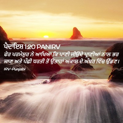 Picture 02 - ਪੈਦਾਇਸ਼ 1:20 PANIRV - ਫੇਰ ਪਰਮੇਸ਼ੁਰ ਨੇ - Bible Verse Picture