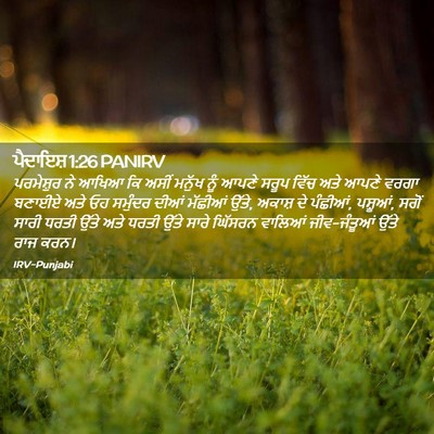 Picture 02 - ਪੈਦਾਇਸ਼ 1:26 PANIRV - ਪਰਮੇਸ਼ੁਰ ਨੇ ਆਖਿਆ - Bible Verse Picture