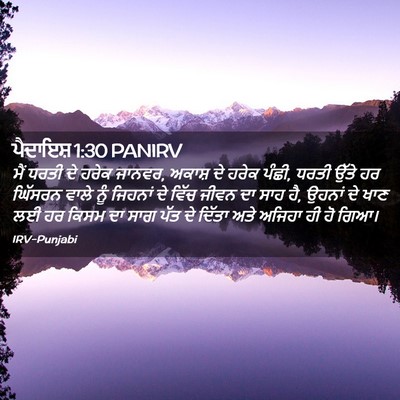 Picture 02 - ਪੈਦਾਇਸ਼ 1:30 PANIRV - ਮੈਂ ਧਰਤੀ ਦੇ ਹਰੇਕ - Bible Verse Picture