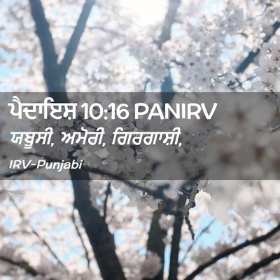 Picture 02 - ਪੈਦਾਇਸ਼ 10:16 PANIRV - ਯਬੂਸੀ, ਅਮੋਰੀ, - Bible Verse Picture