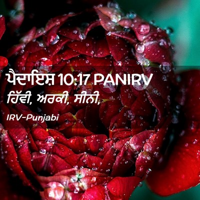 Picture 02 - ਪੈਦਾਇਸ਼ 10:17 PANIRV - ਹਿੱਵੀ, ਅਰਕੀ, - Bible Verse Picture