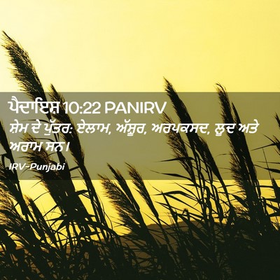 Picture 02 - ਪੈਦਾਇਸ਼ 10:22 PANIRV - ਸ਼ੇਮ ਦੇ ਪੁੱਤਰ: - Bible Verse Picture