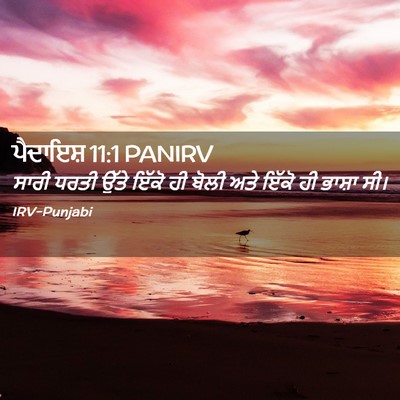 Picture 02 - ਪੈਦਾਇਸ਼ 11:1 PANIRV - ਸਾਰੀ ਧਰਤੀ ਉੱਤੇ - Bible Verse Picture