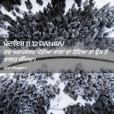 Picture 02 - ਪੈਦਾਇਸ਼ 11:12 PANIRV - ਜਦ ਅਰਪਕਸਦ ਪੈਂਤੀਆਂ - Bible Verse Picture