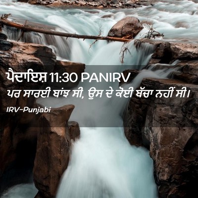 Picture 02 - ਪੈਦਾਇਸ਼ 11:30 PANIRV - ਪਰ ਸਾਰਈ ਬਾਂਝ ਸੀ, ਉਸ - Bible Verse Picture