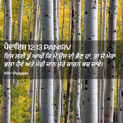 Picture 02 - ਪੈਦਾਇਸ਼ 12:13 PANIRV - ਇਸ ਲਈ ਤੂੰ ਆਖੀਂ ਕਿ - Bible Verse Picture