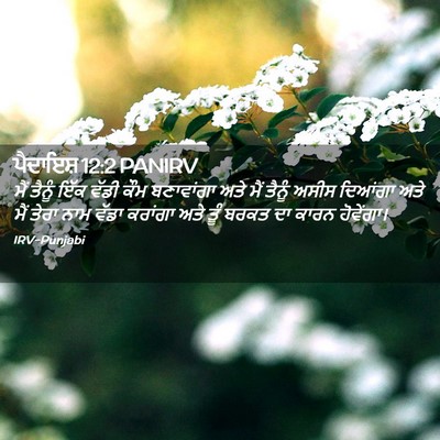 Picture 02 - ਪੈਦਾਇਸ਼ 12:2 PANIRV - ਮੈਂ ਤੈਨੂੰ ਇੱਕ ਵੱਡੀ - Bible Verse Picture