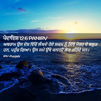 Picture 02 - ਪੈਦਾਇਸ਼ 12:6 PANIRV - ਅਬਰਾਮ ਉਸ ਦੇਸ਼ - Bible Verse Picture