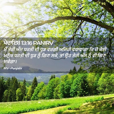 Picture 02 - ਪੈਦਾਇਸ਼ 13:16 PANIRV - ਮੈਂ ਤੇਰੀ ਅੰਸ ਧਰਤੀ - Bible Verse Picture