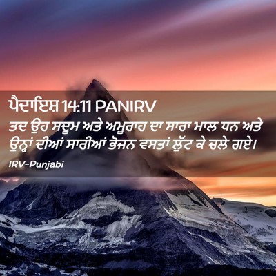 Picture 02 - ਪੈਦਾਇਸ਼ 14:11 PANIRV - ਤਦ ਉਹ ਸਦੂਮ ਅਤੇ - Bible Verse Picture