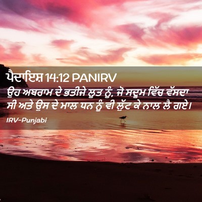 Picture 02 - ਪੈਦਾਇਸ਼ 14:12 PANIRV - ਉਹ ਅਬਰਾਮ ਦੇ ਭਤੀਜੇ - Bible Verse Picture
