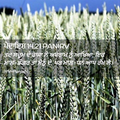 Picture 02 - ਪੈਦਾਇਸ਼ 14:21 PANIRV - ਤਦ ਸਦੂਮ ਦੇ ਰਾਜਾ ਨੇ - Bible Verse Picture