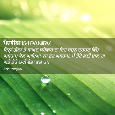 Picture 02 - ਪੈਦਾਇਸ਼ 15:1 PANIRV - ਇਨ੍ਹਾਂ ਗੱਲਾਂ ਤੋਂ - Bible Verse Picture