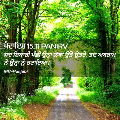 Picture 02 - ਪੈਦਾਇਸ਼ 15:11 PANIRV - ਜਦ ਸ਼ਿਕਾਰੀ ਪੰਛੀ - Bible Verse Picture