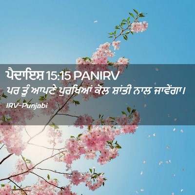 Picture 02 - ਪੈਦਾਇਸ਼ 15:15 PANIRV - ਪਰ ਤੂੰ ਆਪਣੇ - Bible Verse Picture
