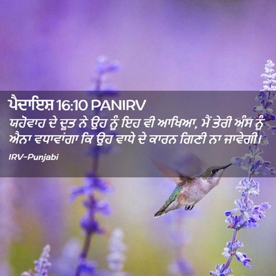 Picture 02 - ਪੈਦਾਇਸ਼ 16:10 PANIRV - ਯਹੋਵਾਹ ਦੇ ਦੂਤ ਨੇ ਉਹ - Bible Verse Picture