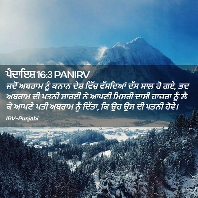 Picture 02 - ਪੈਦਾਇਸ਼ 16:3 PANIRV - ਜਦੋਂ ਅਬਰਾਮ ਨੂੰ - Bible Verse Picture