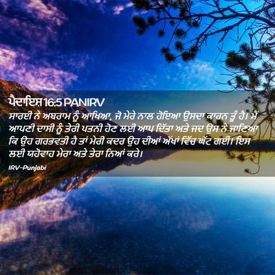 Picture 02 - ਪੈਦਾਇਸ਼ 16:5 PANIRV - ਸਾਰਈ ਨੇ ਅਬਰਾਮ ਨੂੰ - Bible Verse Picture
