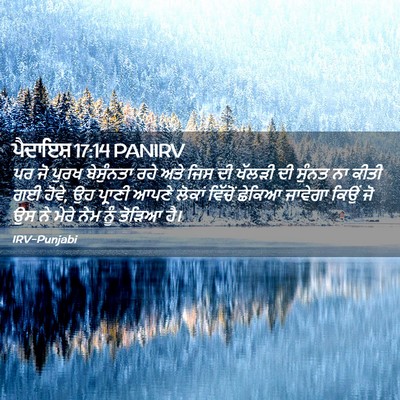 Picture 02 - ਪੈਦਾਇਸ਼ 17:14 PANIRV - ਪਰ ਜੋ ਪੁਰਖ - Bible Verse Picture