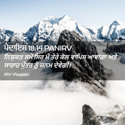 Picture 02 - ਪੈਦਾਇਸ਼ 18:14 PANIRV - ਨਿਯੁਕਤ ਸਮੇਂ ਸਿਰ - Bible Verse Picture