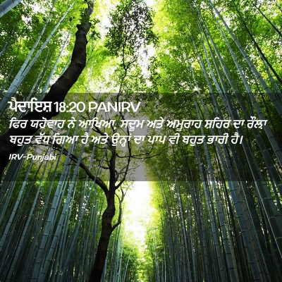 Picture 02 - ਪੈਦਾਇਸ਼ 18:20 PANIRV - ਫਿਰ ਯਹੋਵਾਹ ਨੇ ਆਖਿਆ, - Bible Verse Picture