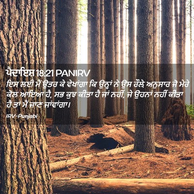 Picture 02 - ਪੈਦਾਇਸ਼ 18:21 PANIRV - ਇਸ ਲਈ ਮੈਂ ਉਤਰ ਕੇ - Bible Verse Picture