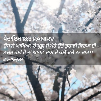 Picture 02 - ਪੈਦਾਇਸ਼ 18:3 PANIRV - ਉਸ ਨੇ ਆਖਿਆ, ਹੇ - Bible Verse Picture
