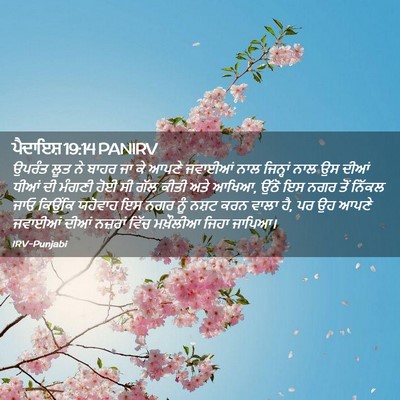 Picture 02 - ਪੈਦਾਇਸ਼ 19:14 PANIRV - ਉਪਰੰਤ ਲੂਤ ਨੇ ਬਾਹਰ - Bible Verse Picture