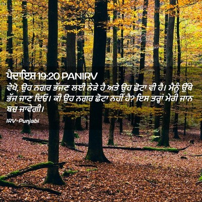 Picture 02 - ਪੈਦਾਇਸ਼ 19:20 PANIRV - ਵੇਖੋ, ਉਹ ਨਗਰ ਭੱਜਣ - Bible Verse Picture
