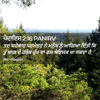 Picture 02 - ਪੈਦਾਇਸ਼ 2:16 PANIRV - ਤਦ ਯਹੋਵਾਹ - Bible Verse Picture