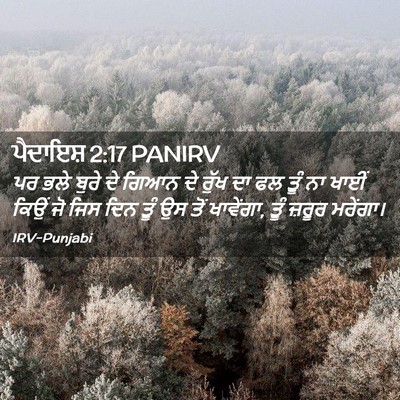 Picture 02 - ਪੈਦਾਇਸ਼ 2:17 PANIRV - ਪਰ ਭਲੇ ਬੁਰੇ ਦੇ ਗਿਆਨ - Bible Verse Picture