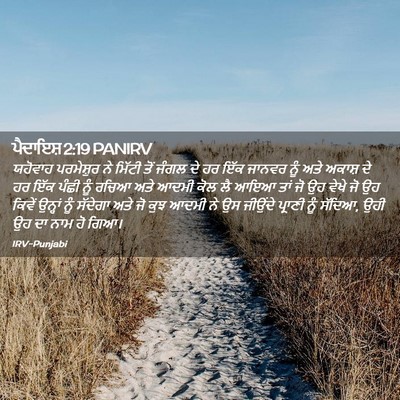 Picture 02 - ਪੈਦਾਇਸ਼ 2:19 PANIRV - ਯਹੋਵਾਹ ਪਰਮੇਸ਼ੁਰ - Bible Verse Picture