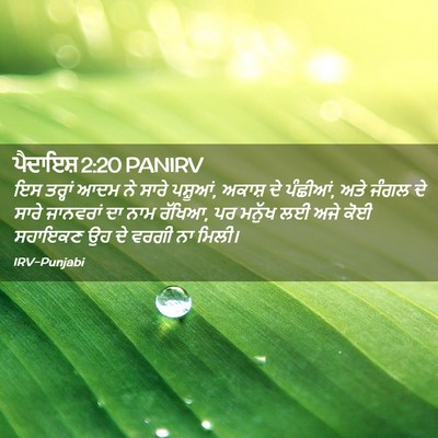 Picture 02 - ਪੈਦਾਇਸ਼ 2:20 PANIRV - ਇਸ ਤਰ੍ਹਾਂ ਆਦਮ ਨੇ - Bible Verse Picture