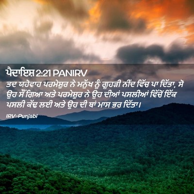 Picture 02 - ਪੈਦਾਇਸ਼ 2:21 PANIRV - ਤਦ ਯਹੋਵਾਹ - Bible Verse Picture