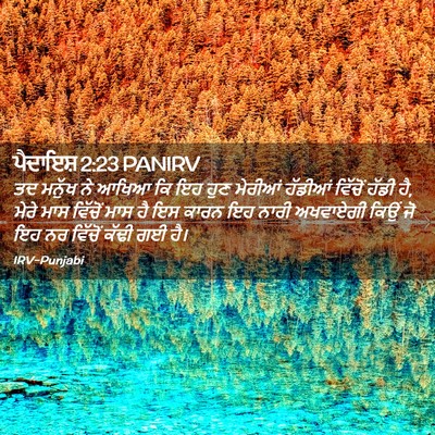 Picture 02 - ਪੈਦਾਇਸ਼ 2:23 PANIRV - ਤਦ ਮਨੁੱਖ ਨੇ ਆਖਿਆ ਕਿ - Bible Verse Picture