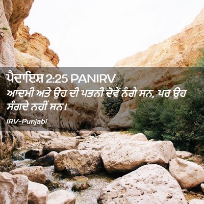 Picture 02 - ਪੈਦਾਇਸ਼ 2:25 PANIRV - ਆਦਮੀ ਅਤੇ ਉਹ ਦੀ ਪਤਨੀ - Bible Verse Picture