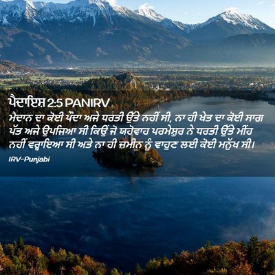 Picture 02 - ਪੈਦਾਇਸ਼ 2:5 PANIRV - ਮੈਦਾਨ ਦਾ ਕੋਈ ਪੌਦਾ - Bible Verse Picture